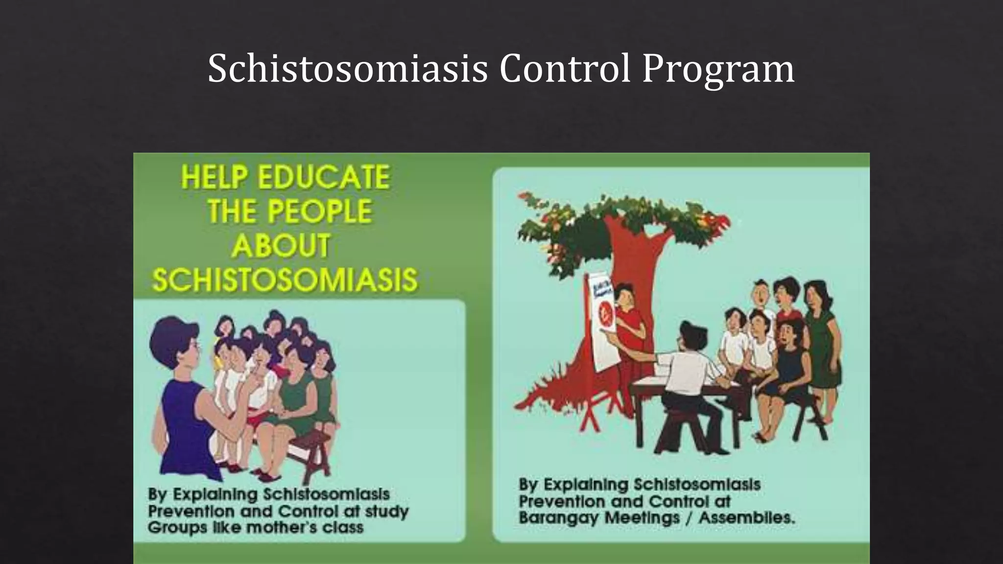 Schistosomiasis Control Program
 