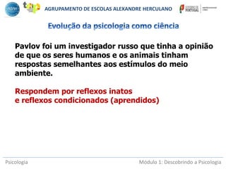 Psicologia Módulo 1: Descobrindo a Psicologia
Pavlov foi um investigador russo que tinha a opinião
de que os seres humanos e os animais tinham
respostas semelhantes aos estímulos do meio
ambiente.
Respondem por reflexos inatos
e reflexos condicionados (aprendidos)
AGRUPAMENTO DE ESCOLAS ALEXANDRE HERCULANO
 