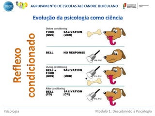 Psicologia Módulo 1: Descobrindo a Psicologia
AGRUPAMENTO DE ESCOLAS ALEXANDRE HERCULANO
 