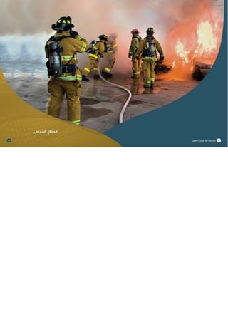 Doha courses plan 2017