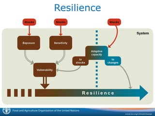 Building Resilience for Adaptation to Climate Change in Agriculture | PDF