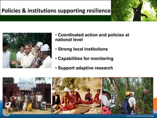 Building Resilience for Adaptation to Climate Change in Agriculture | PDF