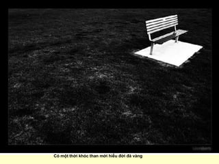 Có một thời khóc than mới hiểu đời đá vàng   