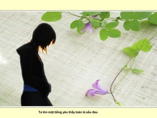 Ta tìm một tiếng yêu thấy toàn là sầu đau  
