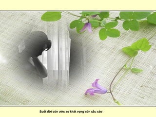 Suốt đời còn ước ao khát vọng còn cấu cào   