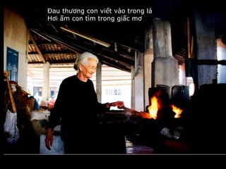 Đau thương con viết vào trong lá Hơi ấm con tìm trong giấc mơ 