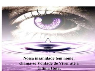 Nossa insanidade tem nome: chama-se Vontade de Viver até a Última Gota. 