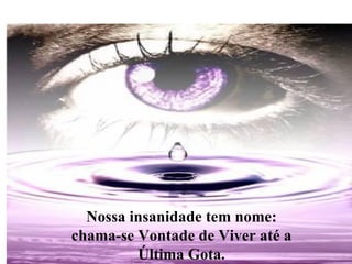 Nossa insanidade tem nome: chama-se Vontade de Viver até a Última Gota. 