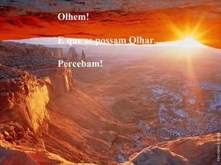 Usar as perdas paa refinar a  Paciência... Olhem! E que se possam Olhar... Percebam! 