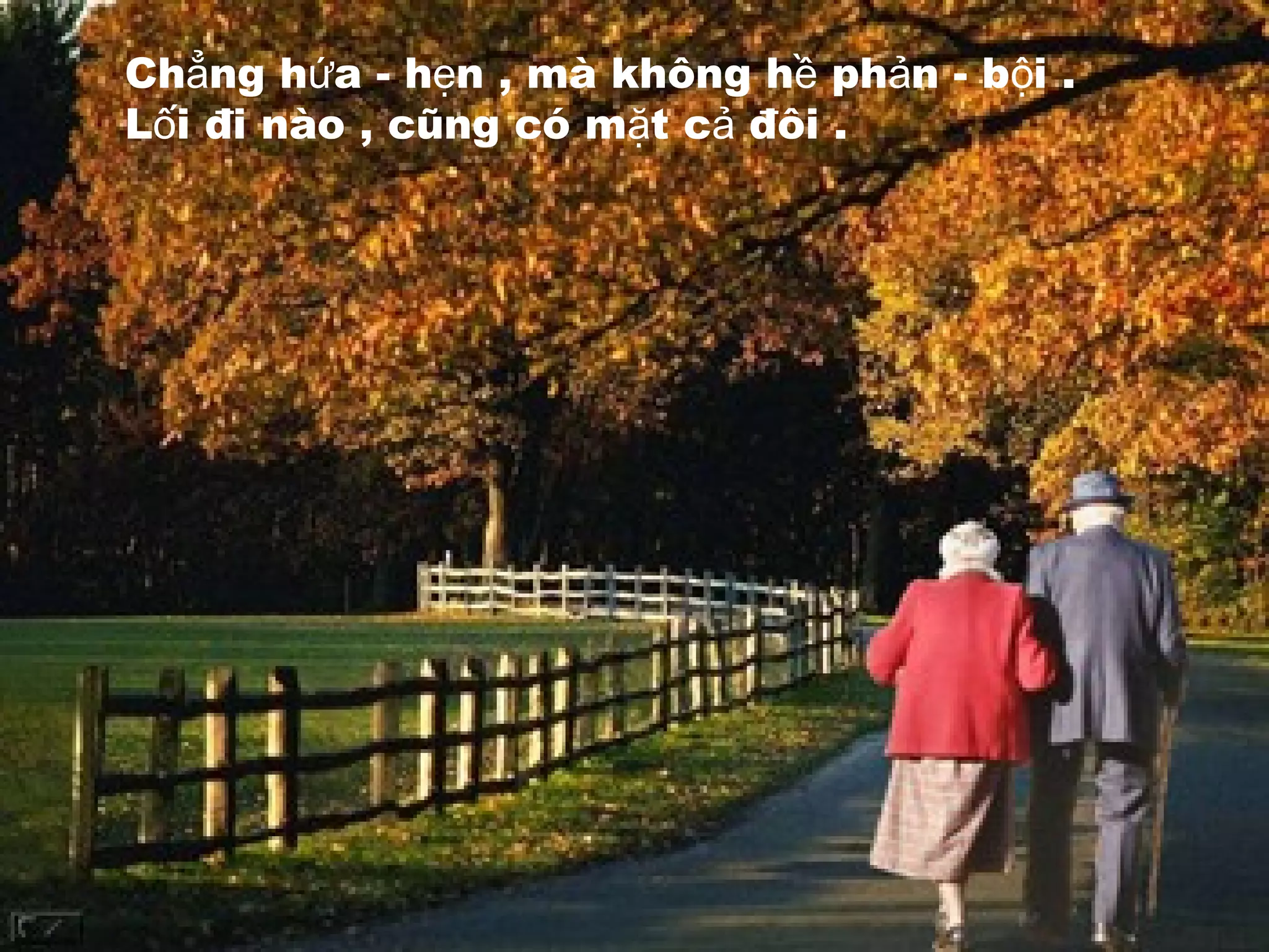 Ch ng h a - h n , mà không h ph n - b i .ẳ ứ ẹ ề ả ộ
L i đi nào , cũng có m t c đôi .ố ặ ả
 