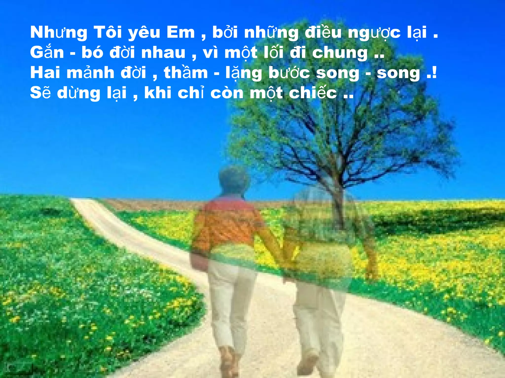 Nh ng Tôi yêu Em , b i nh ng đi u ng c l i .ư ở ữ ề ượ ạ
G n - bó đ i nhau , vì m t l i đi chung ..ắ ờ ộ ố
Hai m nh đ i , th m - l ng b c song - song .!ả ờ ầ ặ ướ
S d ng l i , khi ch còn m t chi c ..ẽ ừ ạ ỉ ộ ế
 
