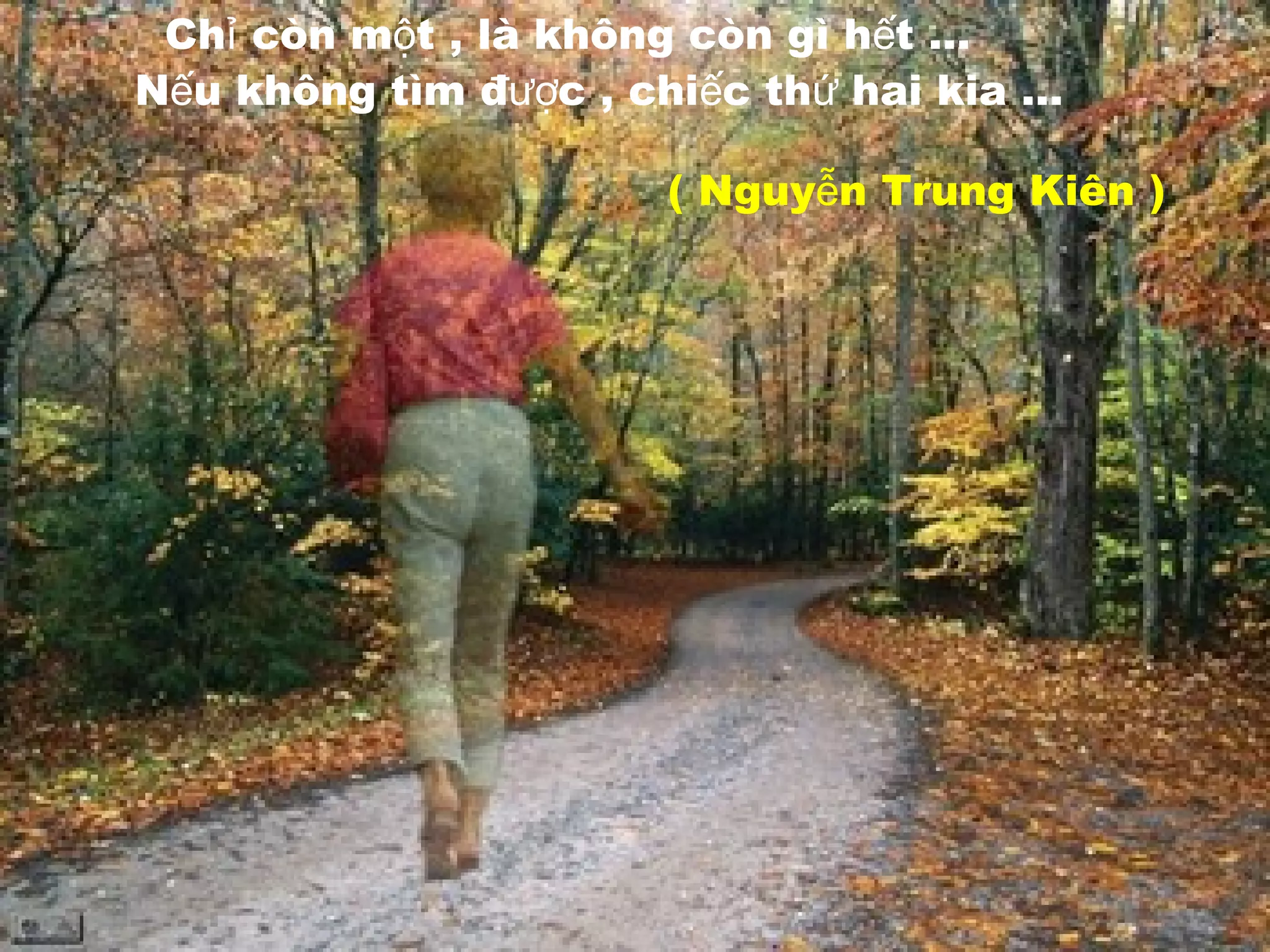 Ch còn m t , là không còn gì h t …ỉ ộ ế
N u không tìm đ c , chi c th hai kia …ế ượ ế ứ
( Nguy n Trung Kiên )ễ
 