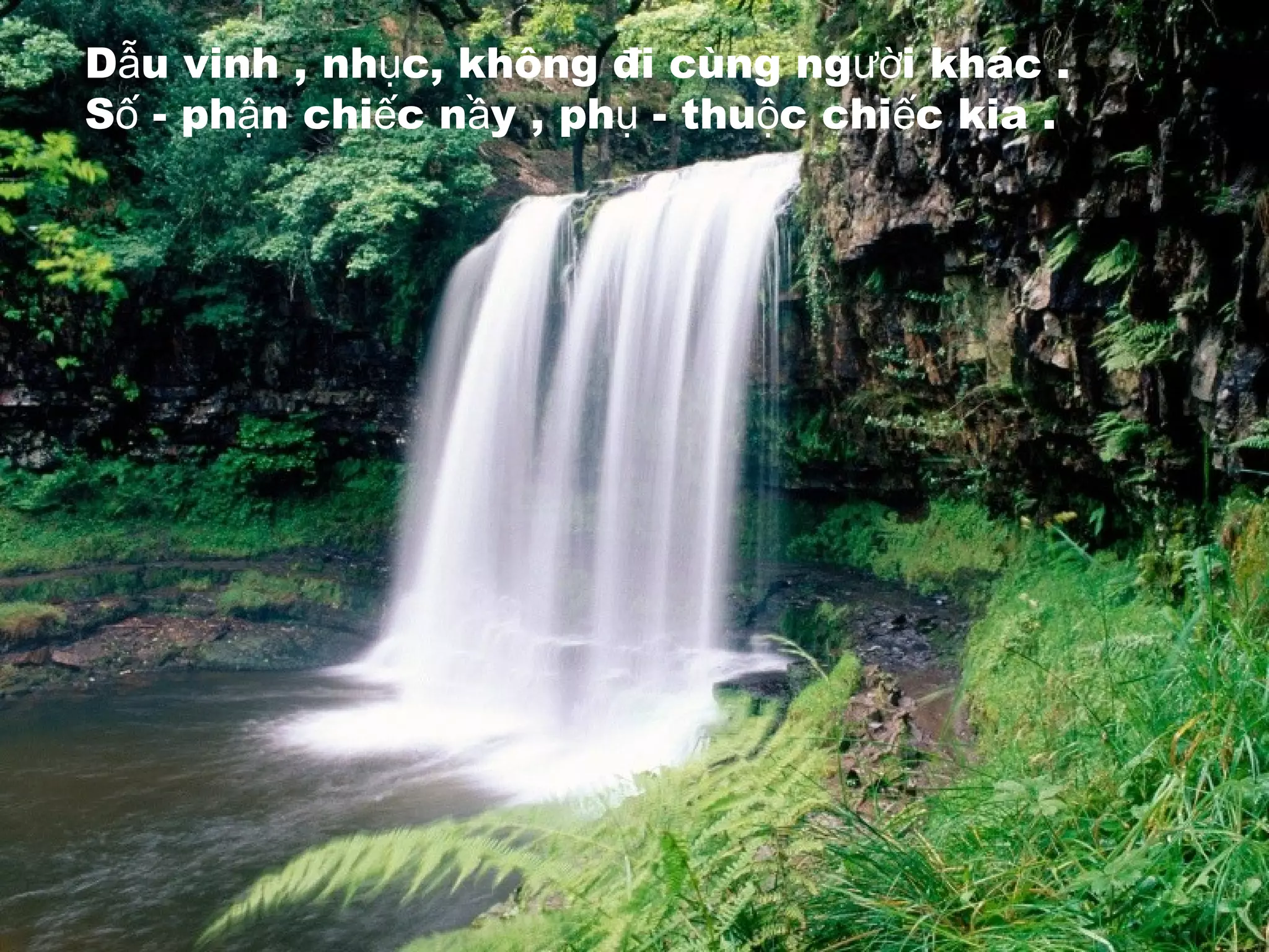 D u vinh , nh c, không đi cùng ng i khác .ẫ ụ ườ
S - ph n chi c n y , ph - thu c chi c kia .ố ậ ế ầ ụ ộ ế
 