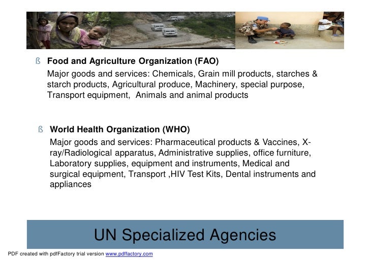 the united nations and business in One of the most influential and far-reaching intergovernmental organizations in the world today is the united nations in this lesson, you'll learn. the united nations and business in One of the most influential and far-reaching intergovernmental organizations in the world today is the united nations in this lesson, you'll learn.