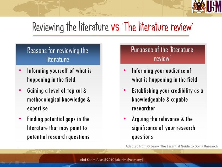 literature review of writer