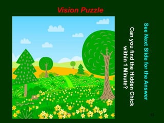 72
Vision Puzzle
See
Next
Slide
for
the
Answer
Can
you
find
the
Hidden
Chick
within
1
Minute?
 