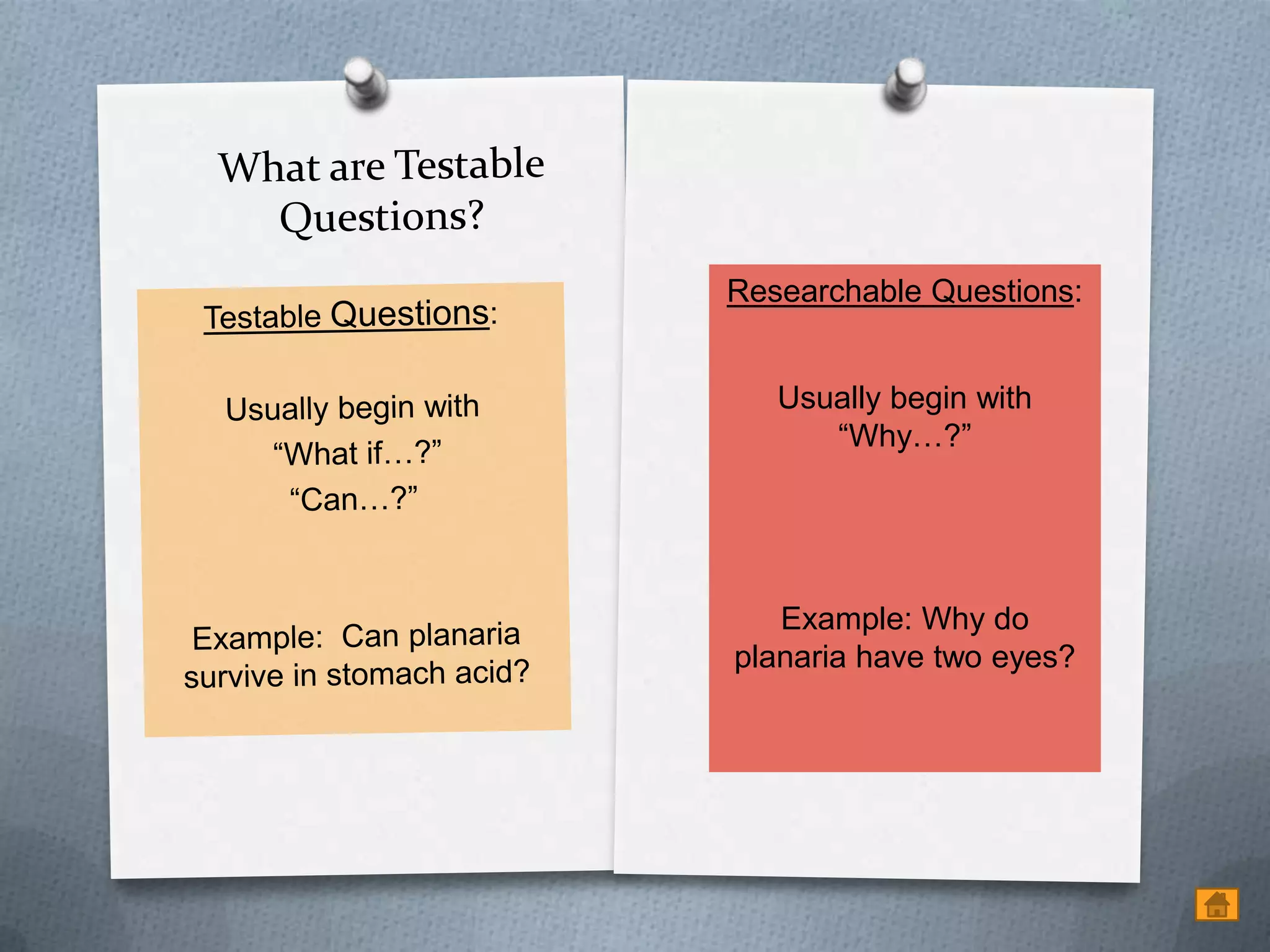 Researchable Questions:


   Usually begin with
      “Why…?”




   Example: Why do
planaria have two eyes?
 
