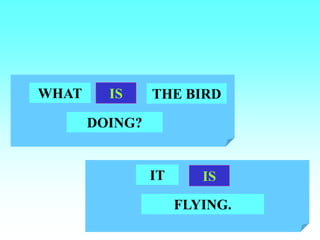 WHAT THE BIRD
DOING?
IS
IT IS
FLYING.
 