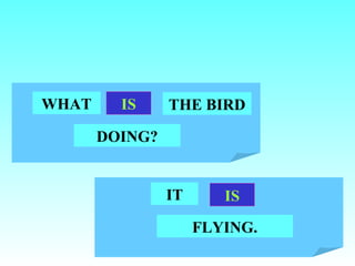 WHAT     IS     THE BIRD

       DOING?


                IT      IS
                     FLYING.
 
