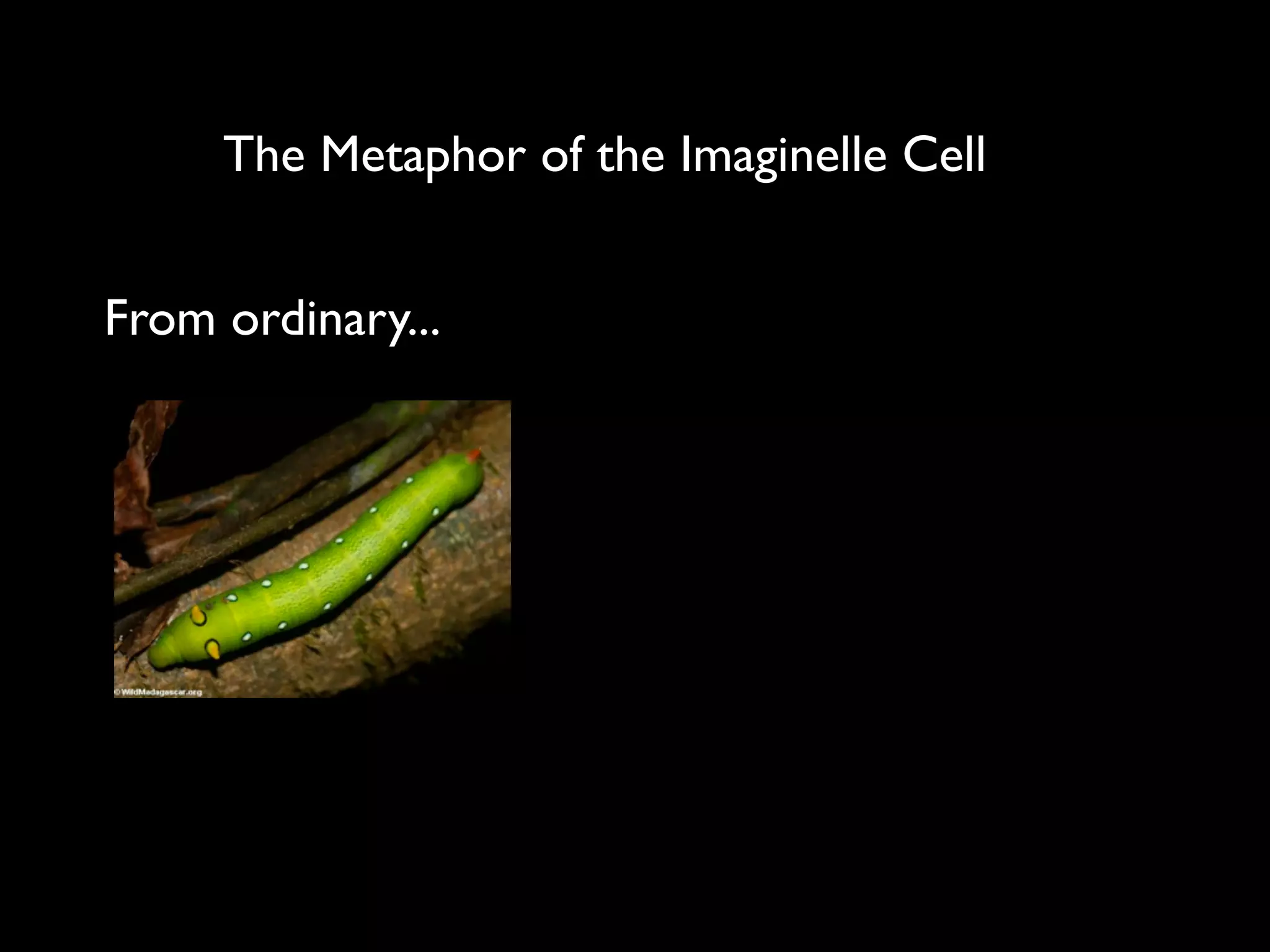 The Metaphor of the Imaginelle Cell


From ordinary...
 