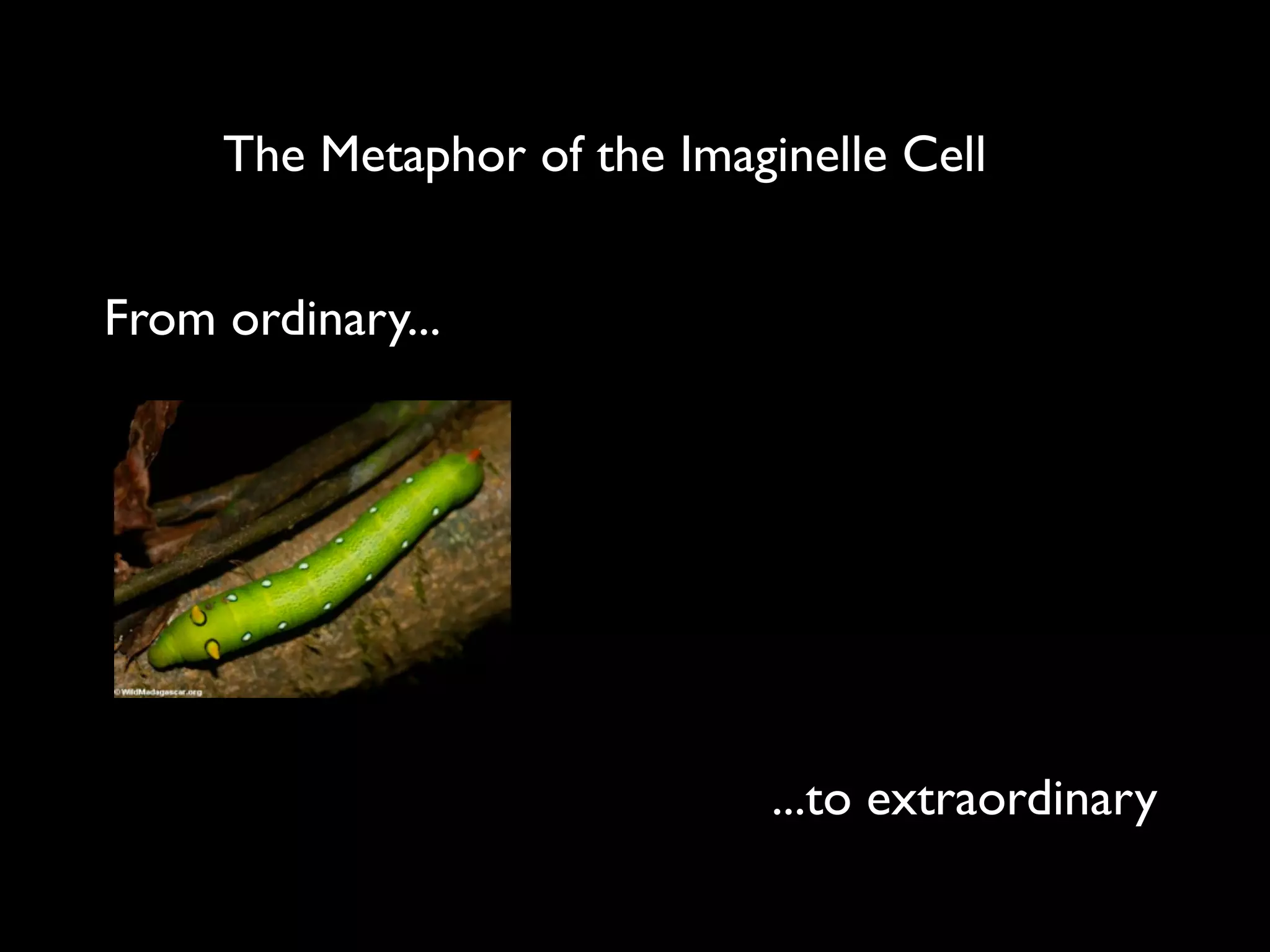 The Metaphor of the Imaginelle Cell


From ordinary...




                              ...to extraordinary
 
