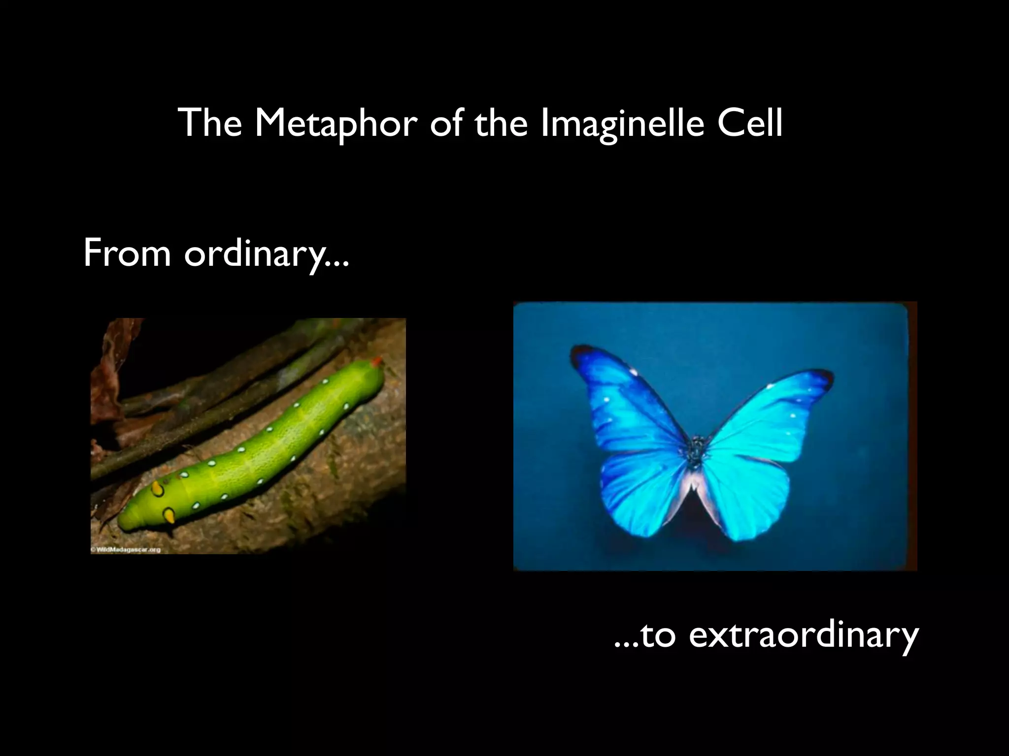 The Metaphor of the Imaginelle Cell


From ordinary...




                              ...to extraordinary
 