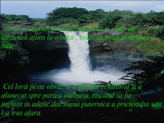 Si-au continuat drumul impreuna si , intr-un  tarziu,au ajuns la o oaza , unde au hotarat sa faca o baie. Cel lovit peste obraz si-a pierdut echilibrul si a alunecat spre partea maloasa, riscand sa fie  inghitit in adanc,dar mana puternica a prietenului sau l-a tras afara.  
