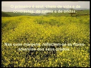 O primeiro é azul, cheio de vida e de contrastes, de calma e de ondas.  Nas suas margens, reflectem-se as flores  amarelas dos seus prados.  