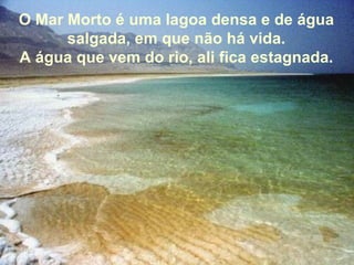 O Mar Morto é uma lagoa densa e de água salgada, em que não há vida. A água que vem do rio, ali fica estagnada. 