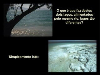 O que é que faz destes dois lagos, alimentados pelo mesmo rio, lagos tão diferentes? Simplesmente isto:  