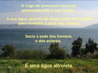 O Lago de Genesaré transmite generosamente o que recebe.  A sua água, quando ali chega parte de imediato para remediar a seca dos campos. Sacia a sede dos homens  e dos animais.  É uma água altruísta. 