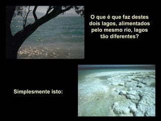 O que é que faz destes dois lagos, alimentados pelo mesmo rio, lagos tão diferentes? Simplesmente isto:  