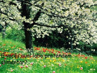 E vocês,qual lobo pretendem
alimentar?
 