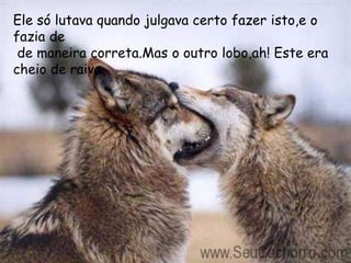 Ele só lutava quando julgava certo fazer isto,e o
fazia de
 de maneira correta.Mas o outro lobo,ah! Este era
cheio de raiva.
 