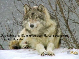 Sua raiva era tão grande que não conseguia nem
 pensar direito.
 