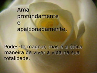 Ama
    profundamente
    e
    apaixonadamente,


Podes-te magoar, mas é a única
maneira de viver a vida na sua
totalidade.
 