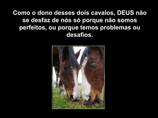 Como o dono desses dois cavalos, DEUS não se desfaz de nós só porque não somos perfeitos, ou porque temos problemas ou desafios. 
