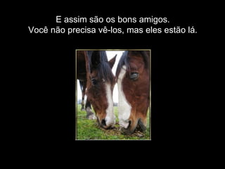E assim são os bons amigos. Você não precisa vê-los, mas eles estão lá. 