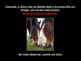Contudo, o dono não se desfez dele e arrumou-lhe um amigo; um cavalo mais jovem. Isso já é de se admirar. Se você observar, ouvirá um sino. 