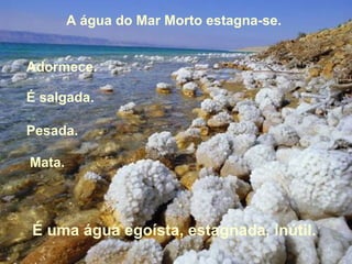 A água do Mar Morto estagna-se.


Adormece.

É salgada.

Pesada.

Mata.




É uma água egoísta, estagnada, inútil.
 