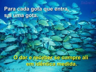 Para cada gota que entra, sai uma gota.  O dar e receber se cumpre ali  em idêntica medida. 