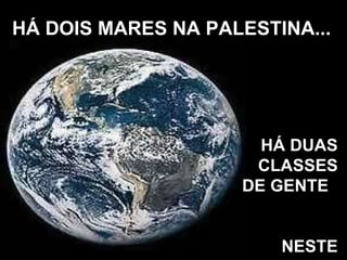 HÁ DUAS CLASSES DE GENTE  NESTE MUNDO... HÁ DOIS MARES NA PALESTINA... 