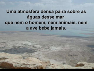 Uma atmosfera densa paira sobre as águas desse mar  que nem o homem, nem animais, nem a ave bebe jamais. 