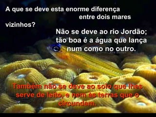 A que se deve esta enorme diferença  entre dois mares vizinhos?  Não se deve ao rio Jordão; tão boa é a água que lança num como no outro. Também não se deve ao solo que lhes serve de leito, e nem às terras que o circundam. 