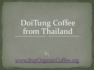 DoiTung Coffee
from Thailand

 
