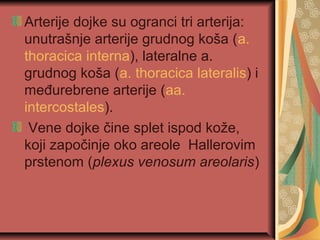 Arterije dojke su ogranci tri arterija:
unutrašnje arterije grudnog koša (a.
thoracica interna), lateralne a.
grudnog koša (a. thoracica lateralis) i
međurebrene arterije (aa.
intercostales).
Vene dojke čine splet ispod kože,
koji započinje oko areole Hallerovim
prstenom (plexus venosum areolaris)
 