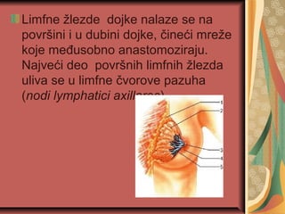 Limfne žlezde dojke nalaze se na
površini i u dubini dojke, čineći mreže
koje međusobno anastomoziraju.
Najveći deo površnih limfnih žlezda
uliva se u limfne čvorove pazuha
(nodi lymphatici axillares)
 