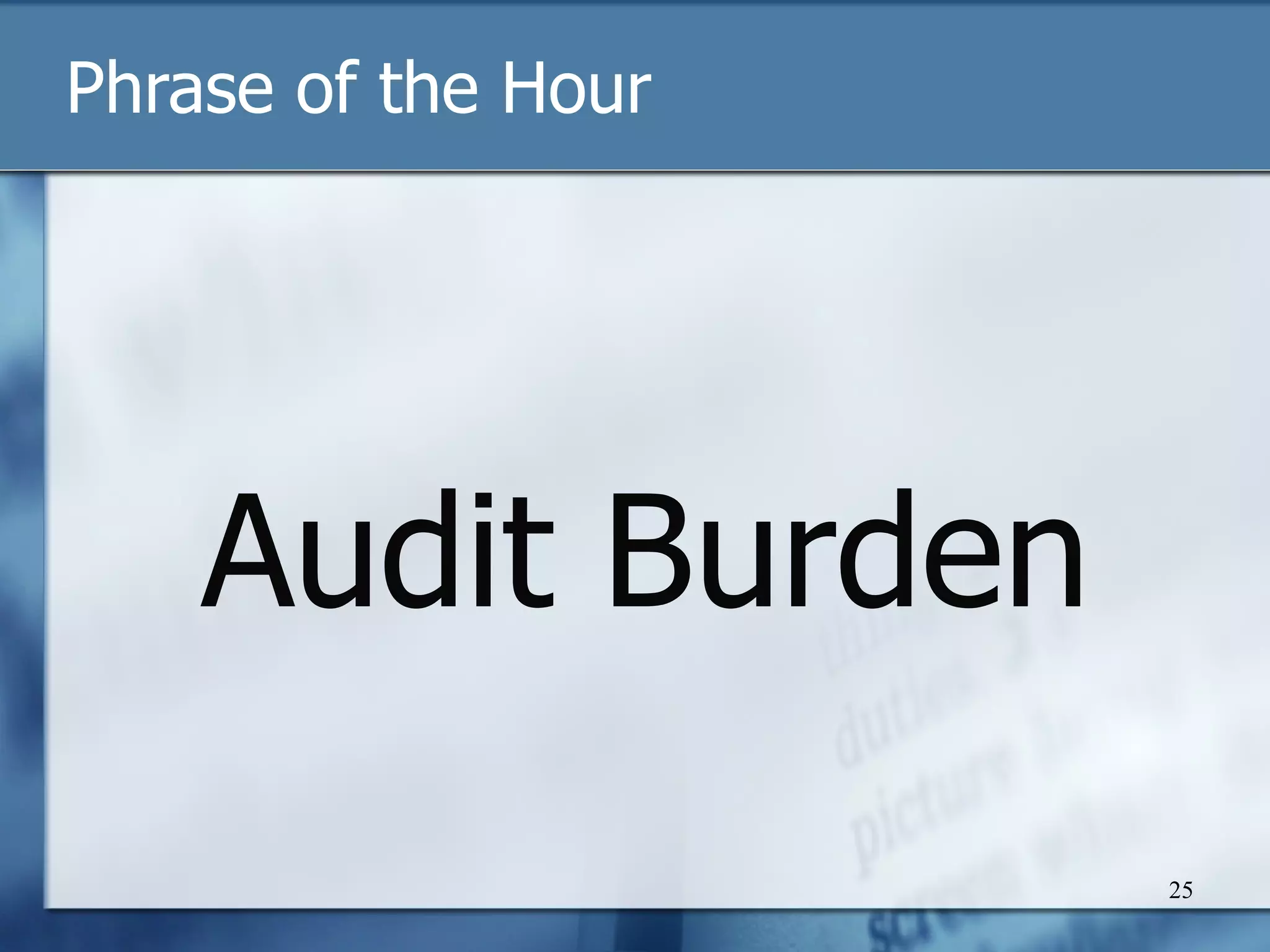 Phrase of the Hour Audit Burden 