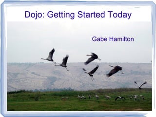 Dojo: Getting Started Today Gabe Hamilton 