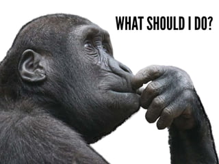 WHAT SHOULD I DO?
 